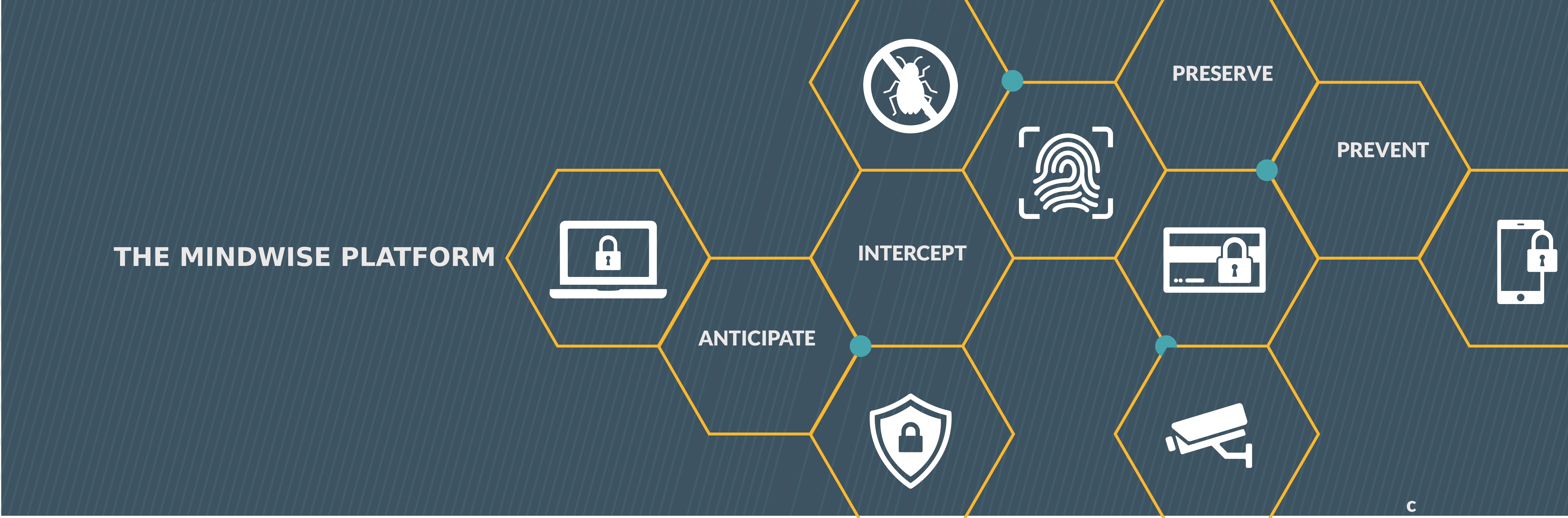 Common Payment Fraud Schemes in 2024: What Financial Institutions Need to Know